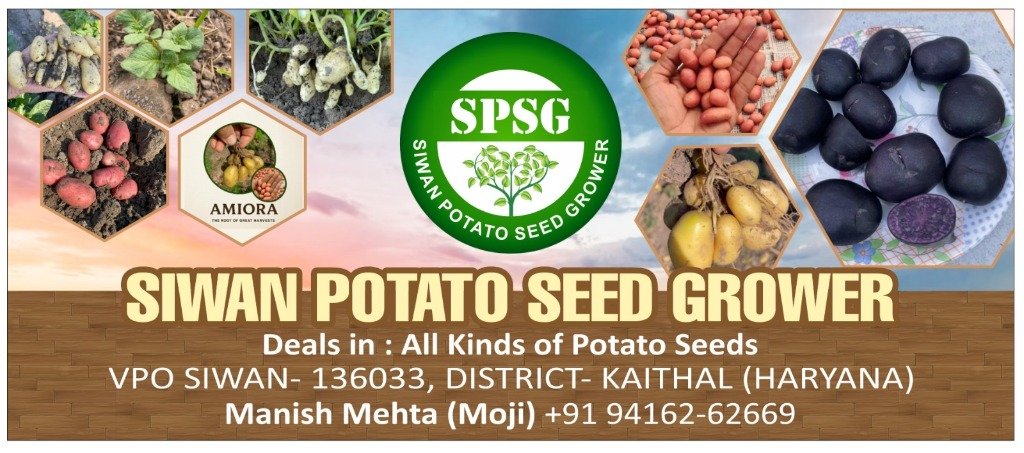 Siwan Potato Seed Grower Farm